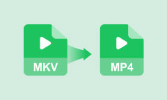 MKV in MP4 umwandeln