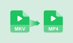 MKV to MP4