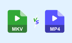 MKV vs. MP4