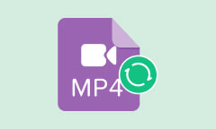 MP4 Converter