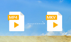 MP4 to MKV Converter