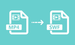 MP4 to SWF Converter