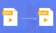 MP4 to WebM Converter