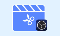 OBS Video schneiden