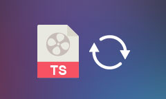 TS Video Converter