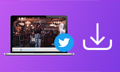 Twitter Video Downloader