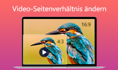Video-Seitenverhältnis ändern