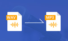 WAV to MP3 Converter 