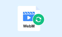 WebM Converter