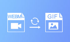WebM in GIF konvertieren