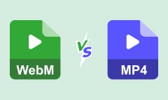 WebM vs. MP4