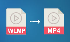 WLMP in MP4 umwandeln