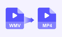 WMV in MP4 umwandeln