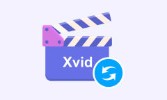 Xvid Converter