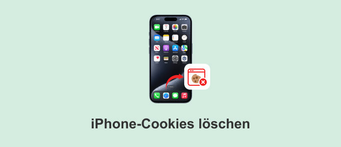 iPhone-Cookies löschen