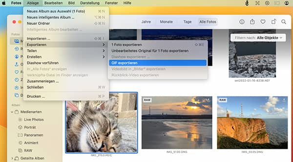 Live Foto als GIF exportieren auf Mac