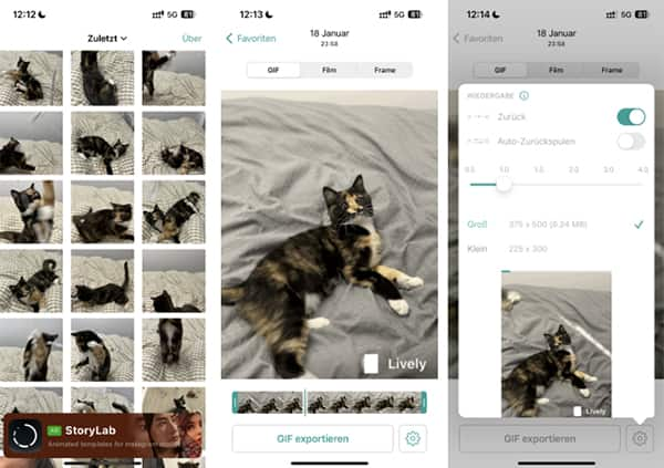 Live Foto als GIF exportieren mit Lively