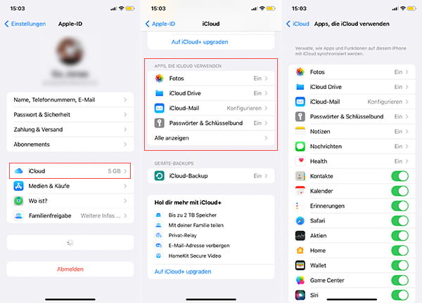 Synchronisieren über iCloud einrichten