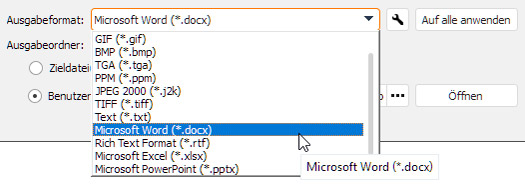 Word-Format wählen