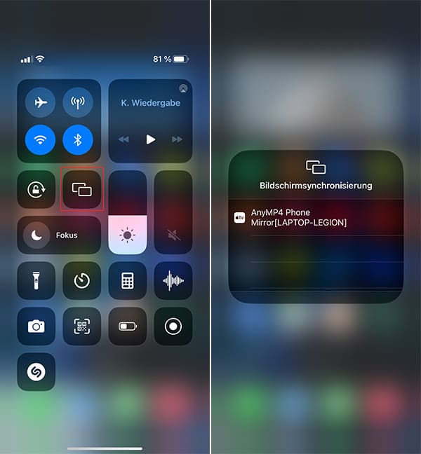 iPhone mit AnyMP4 Phone Mirror verbinden