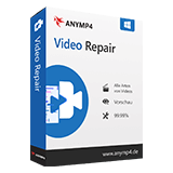 Video Repair