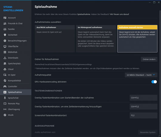 Steam-Spielaufnahme