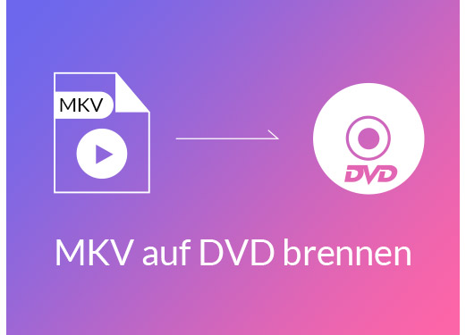 Mkv erstellen aus dvd