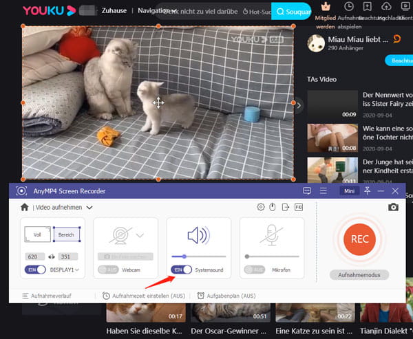Aufnahmebereich für Youku Video anpassen