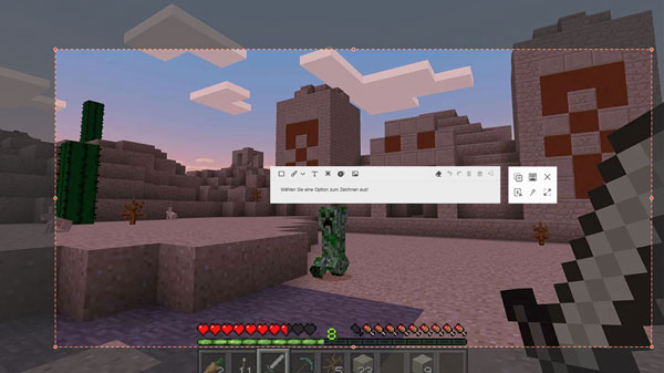Minecraft-Screenshot machen mit AnyMP4