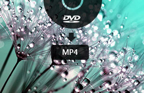 DVD in MP4 umwandeln