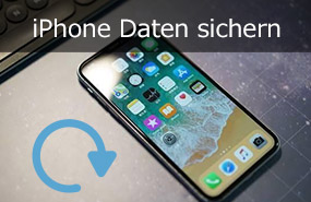 iPhone Daten sichern