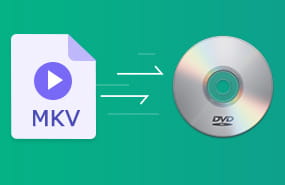 MKV auf DVD brennen