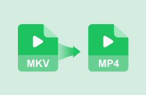 MKV in MP4 umwandeln