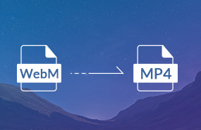 WebM to MP4 Converter