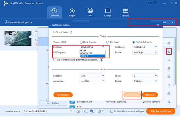 Format und Encoder auswählen