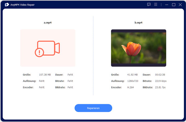 Video reparieren
