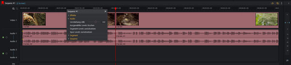 Audio anpassen