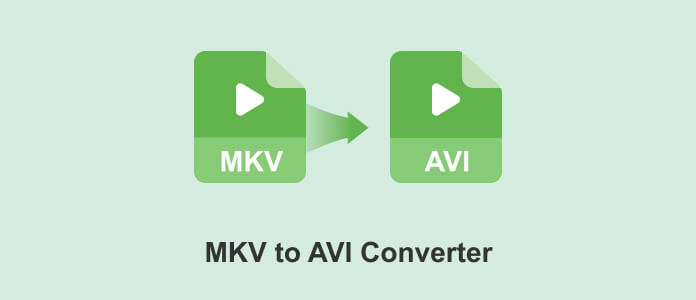 MKV to AVI Converter