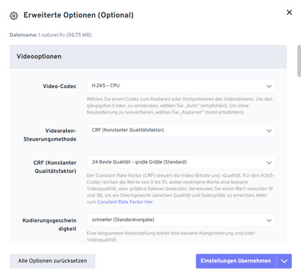 MP4 als Ausgabeformat auswählen