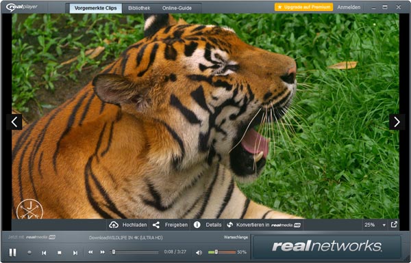 RealPlayer