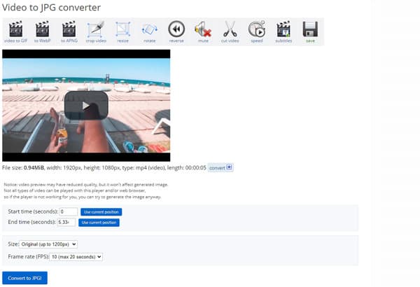Online Video to Photo Converter