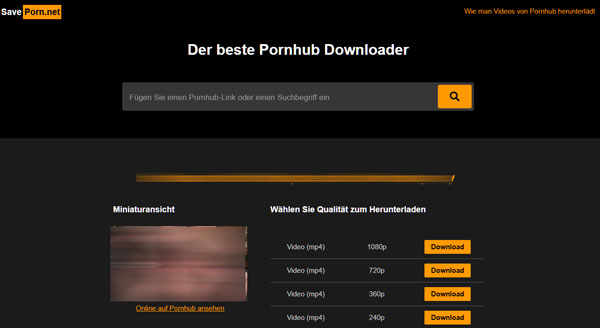 Pornhub-Video runterladen mit SavePorn.net