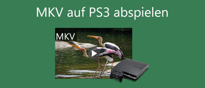 Auf PS3 MKV abspielen