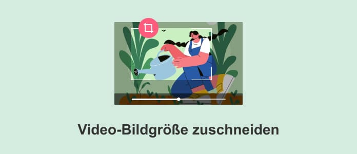 Video-Bildgröße zuschneiden