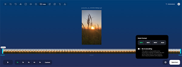 Video-Loop erstellen online