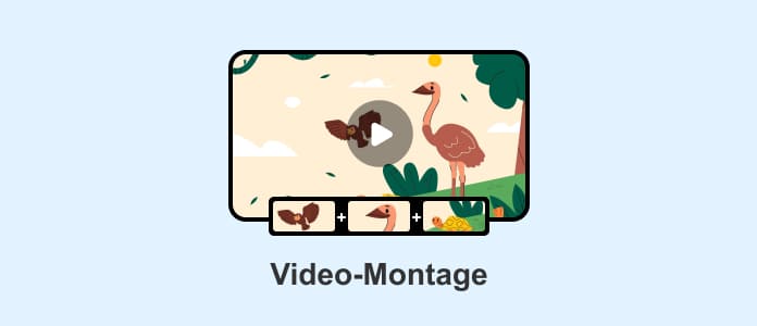 Video-Montage