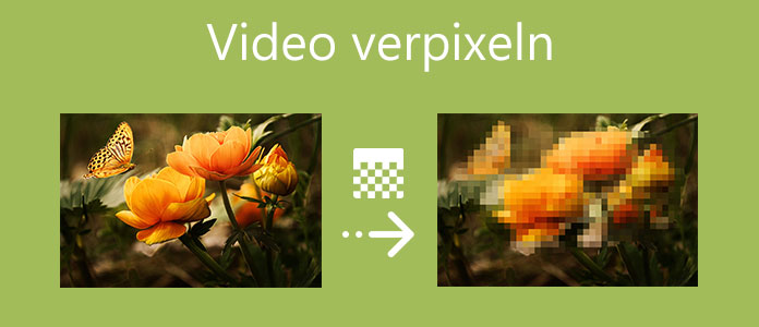 Video verpixeln