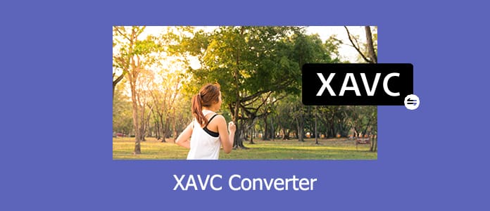 XAVC Converter