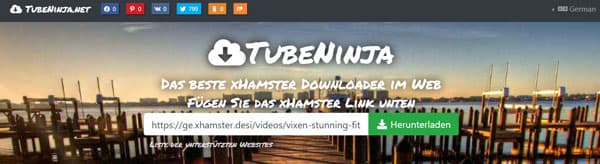 URL von xHamster-Video in Tubeninja hinzufügen