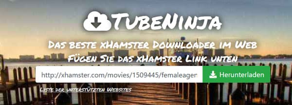 xHamster-Video downloaden mit TubeNinja